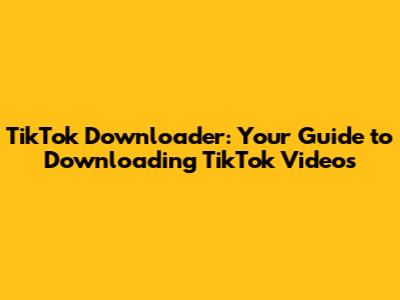 TikTok Downloader: Your Guide to Downloading TikTok Videos