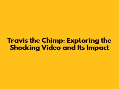 Travis the Chimp: Exploring the Shocking Video and Its Impact