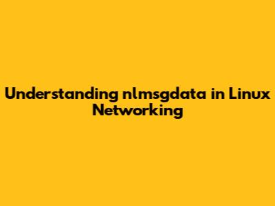 Understanding `nlmsgdata` in Linux Networking