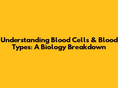 Understanding Blood Cells & Blood Types: A Biology Breakdown