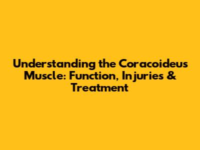 Understanding the Coracoideus Muscle: Function, Injuries & Treatment