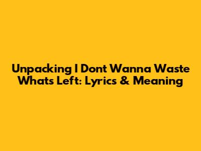 Unpacking 'I Don't Wanna Waste What's Left': Lyrics & Meaning