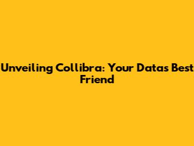 Unveiling Collibra: Your Data's Best Friend