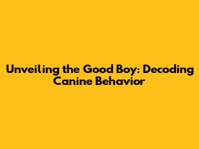 Unveiling the Good Boy: Decoding Canine Behavior