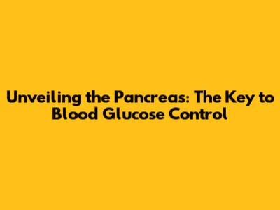 Unveiling the Pancreas: The Key to Blood Glucose Control