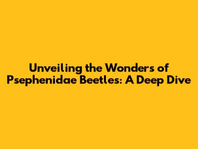 Unveiling the Wonders of Psephenidae Beetles: A Deep Dive