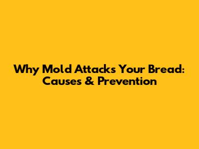 Why Mold Attacks Your Bread: Causes & Prevention