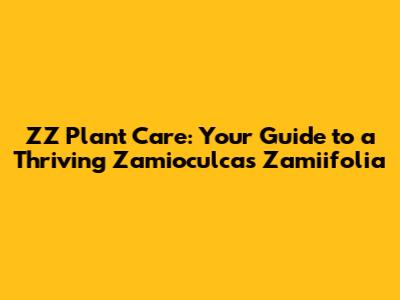 ZZ Plant Care: Your Guide to a Thriving Zamioculcas Zamiifolia