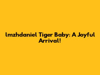 lmzhdaniel Tiger Baby: A Joyful Arrival!